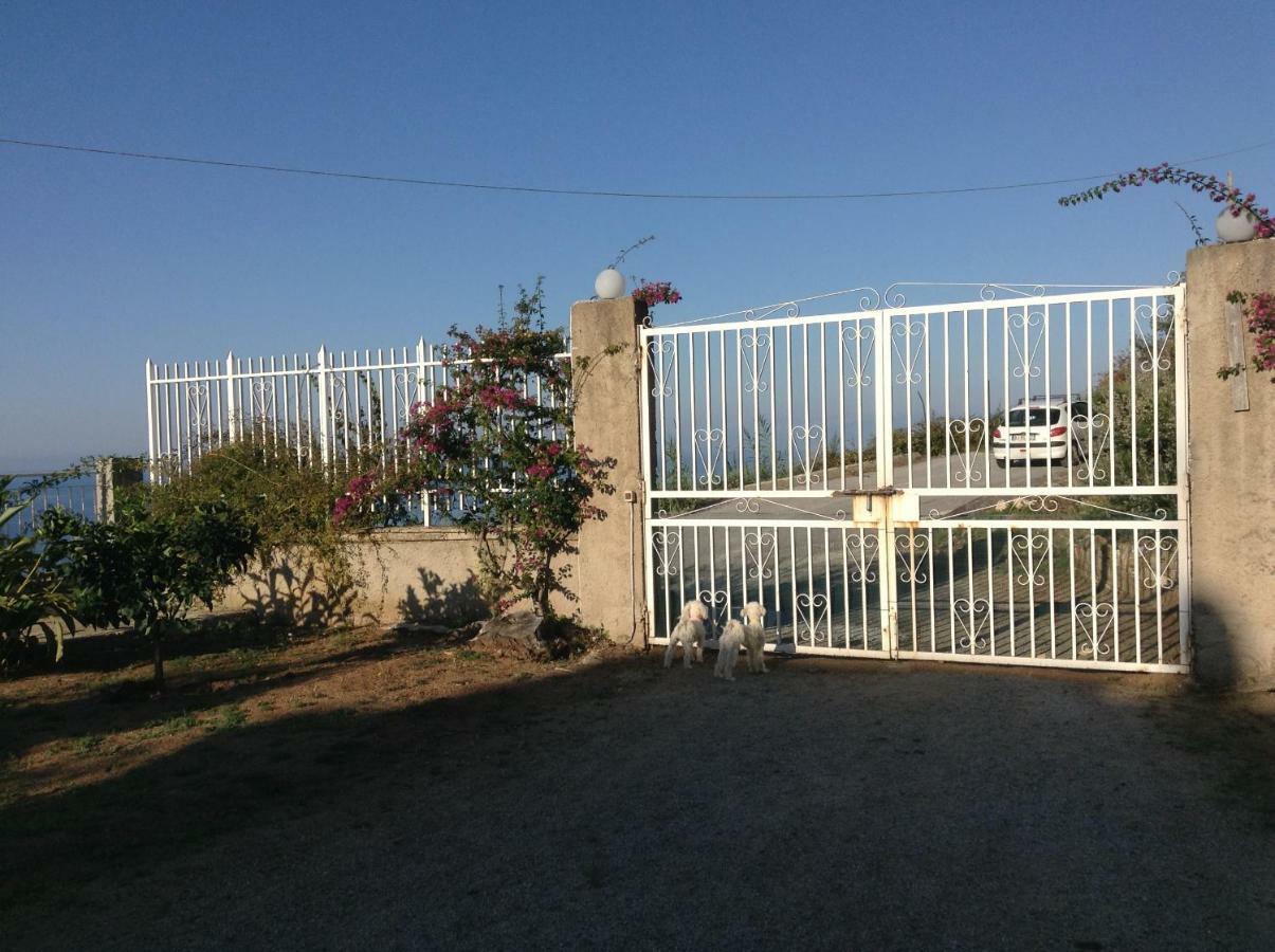 Balconcino Degli Innamorati Tropea Santa Domenica  Exterior foto